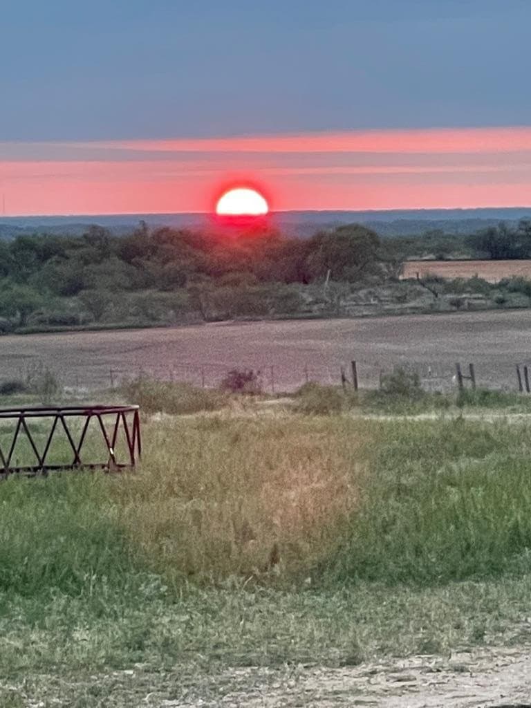 66 acres in Runnels County - photo 7