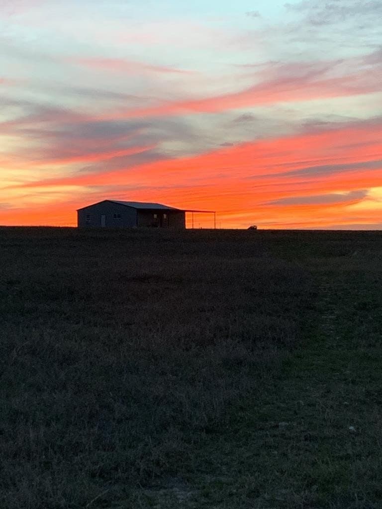 66 acres in Runnels County - photo 3