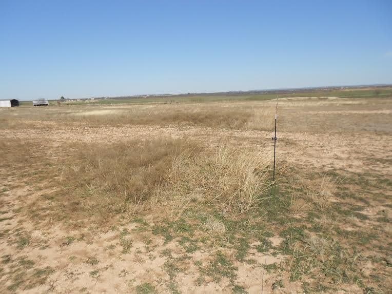 66 acres in Runnels County - photo 6
