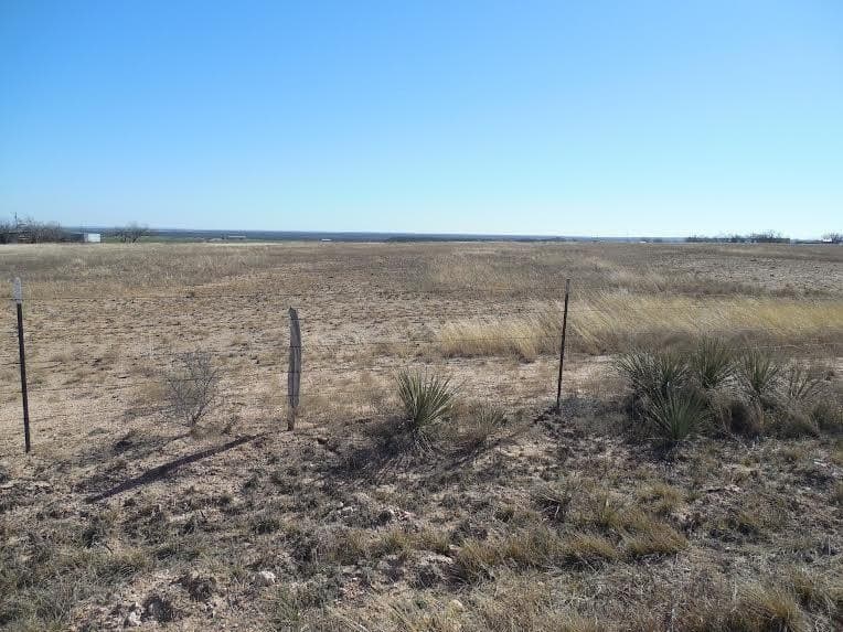 66 acres in Runnels County - photo 17