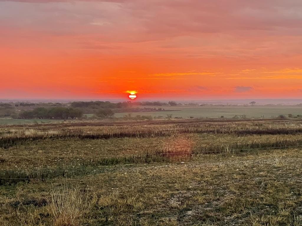66 acres in Runnels County - photo 8