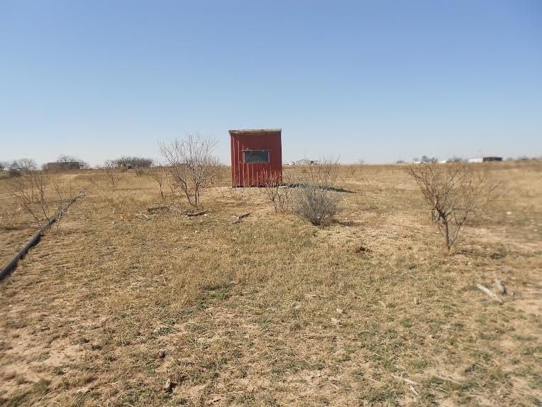 66 acres in Runnels County - photo 16