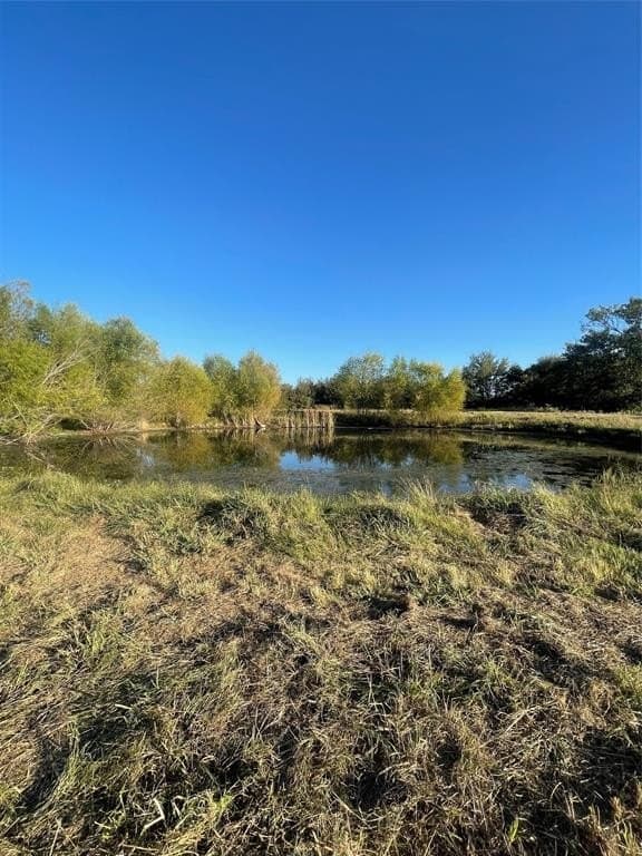 16.32 acres in Hill County - photo 8