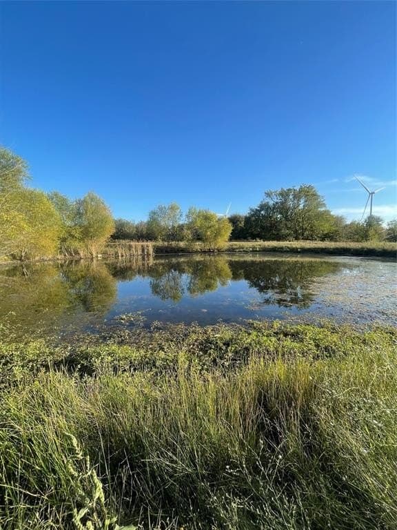 16.32 acres in Hill County - photo 7