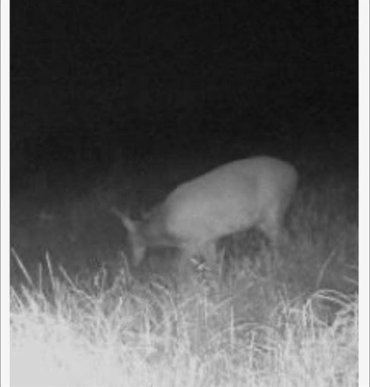 16.32 acres in Hill County - photo 16
