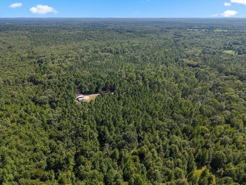 10.5 acres in Wood County - photo 19