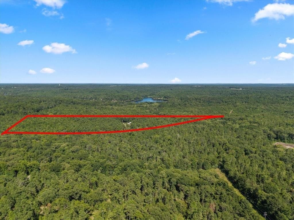 10.5 acres in Wood County - photo 4