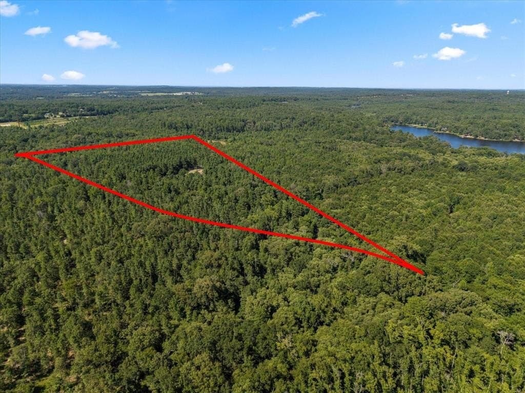 10.5 acres in Wood County - photo 3