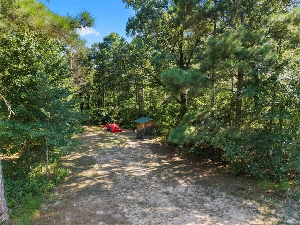 10.5 acres in Wood County - photo 12