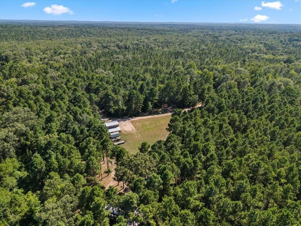 10.5 acres in Wood County - photo 14