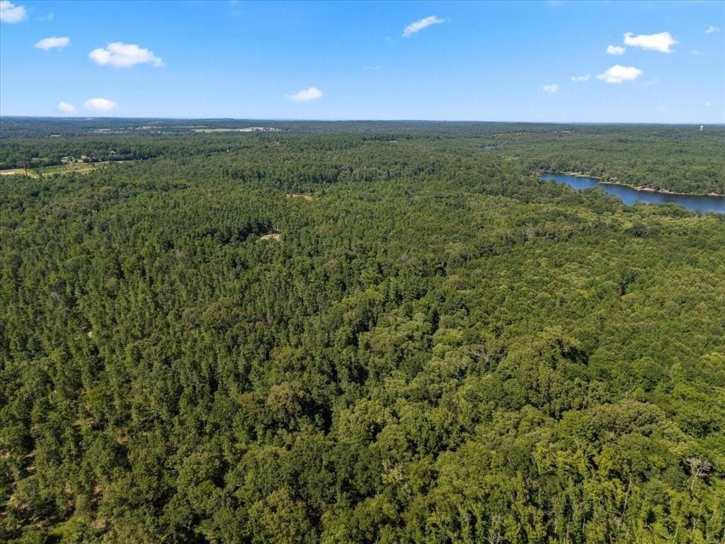 10.5 acres in Wood County - photo 18