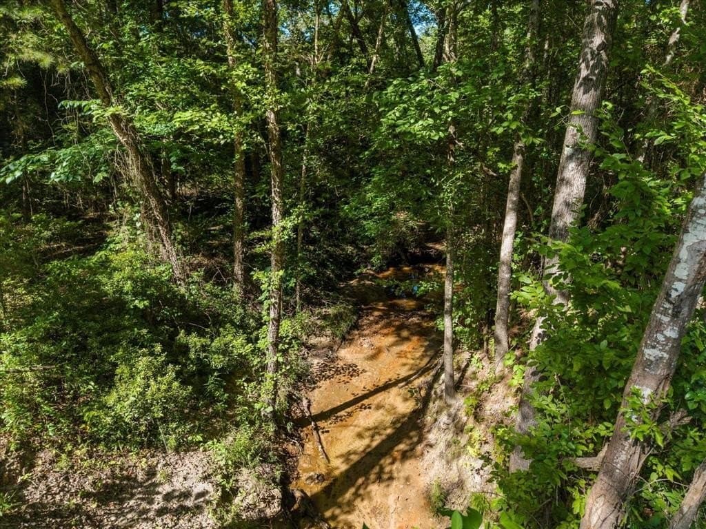 10.5 acres in Wood County - photo 9