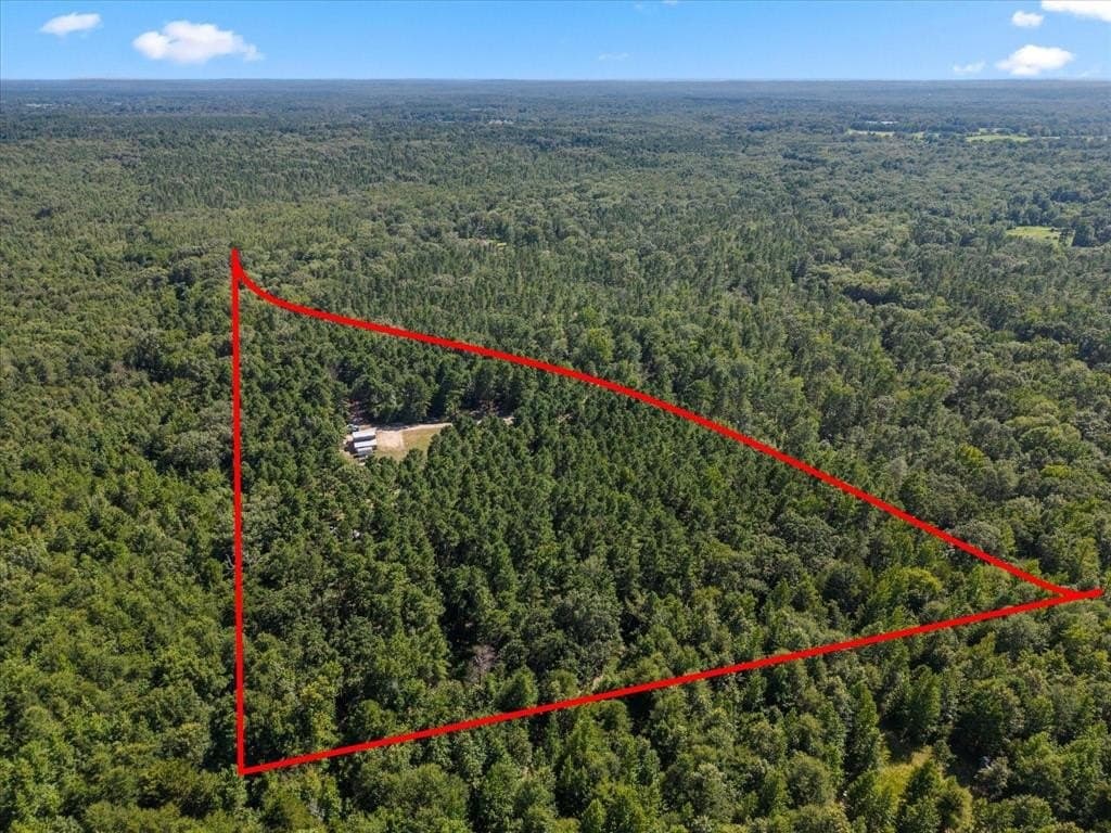 10.5 acres in Wood County - photo 2