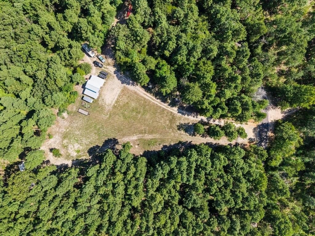 10.5 acres in Wood County - photo 5