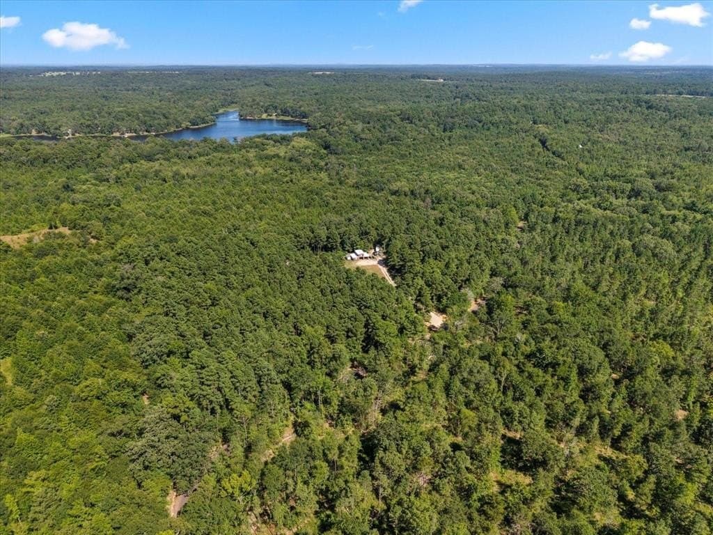 10.5 acres in Wood County - photo 20