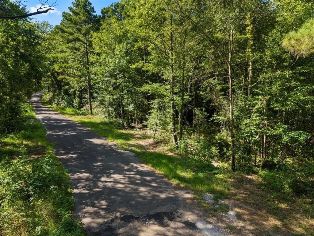 10.5 acres in Wood County - photo 8