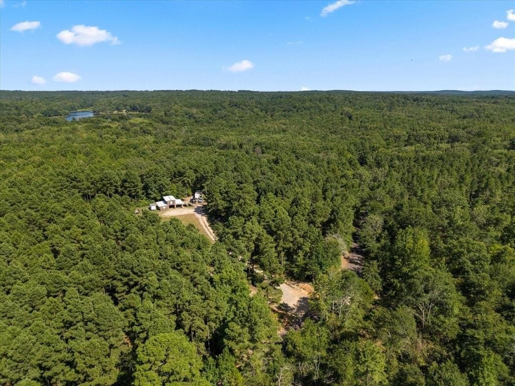 10.5 acres in Wood County - photo 16
