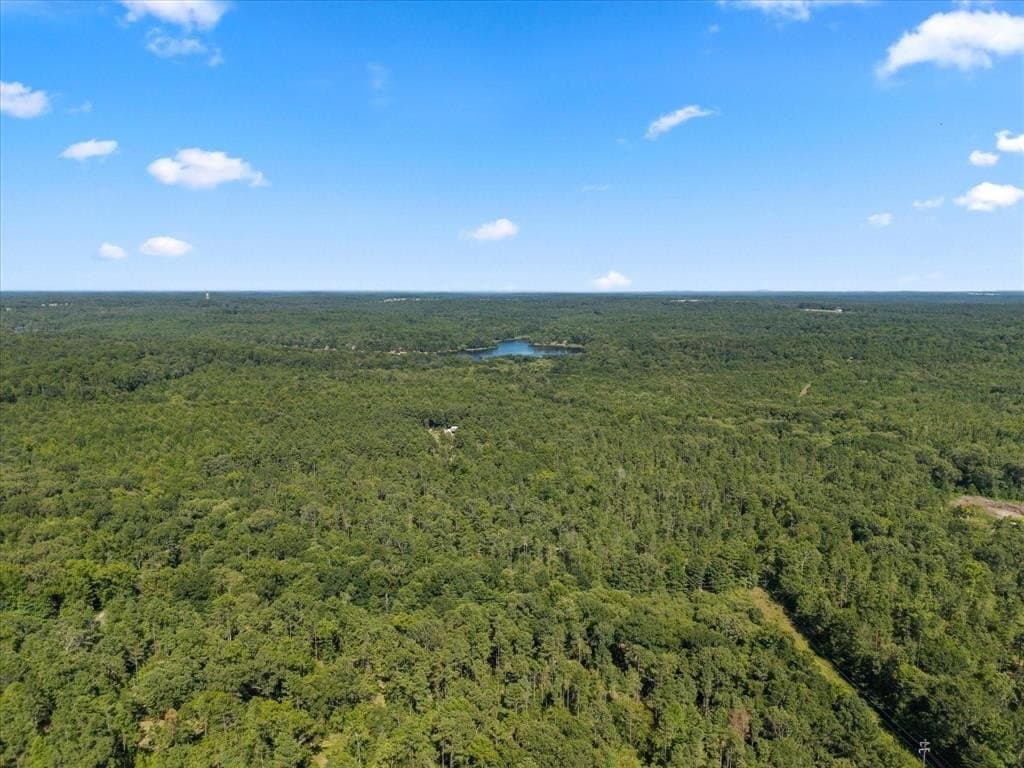 10.5 acres in Wood County - photo 17