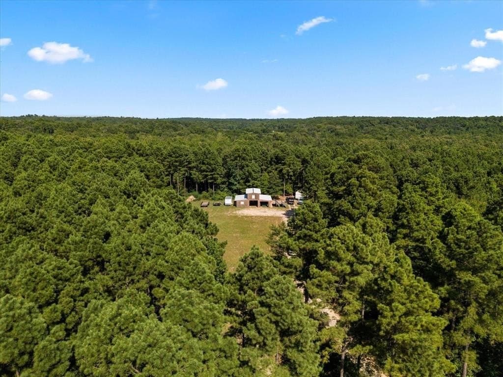 10.5 acres in Wood County - photo 15