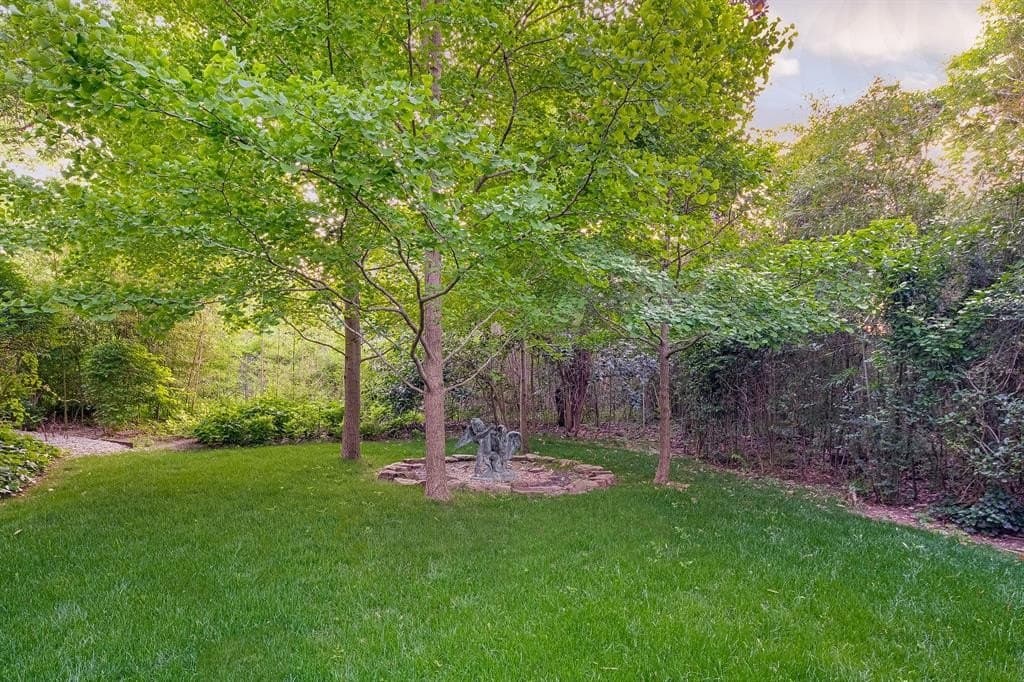 2.11 acres in Dallas County - photo 19