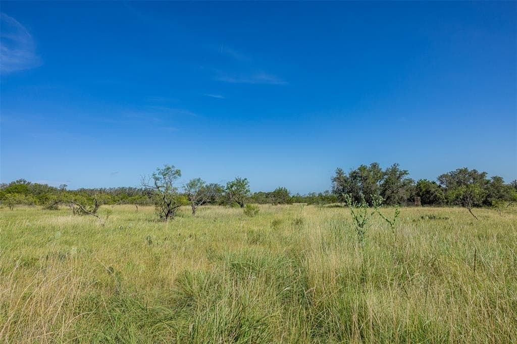417 acres in McCulloch County - photo 21