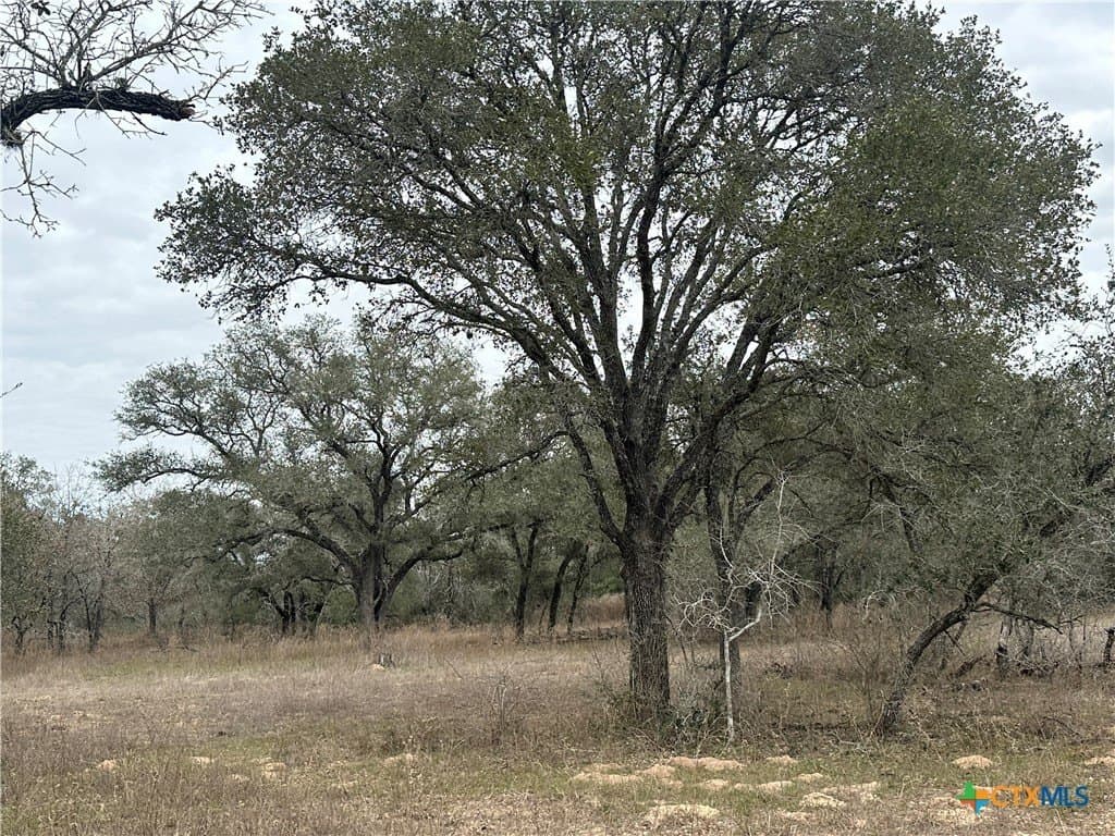 24.26 acres in Victoria County - photo 4