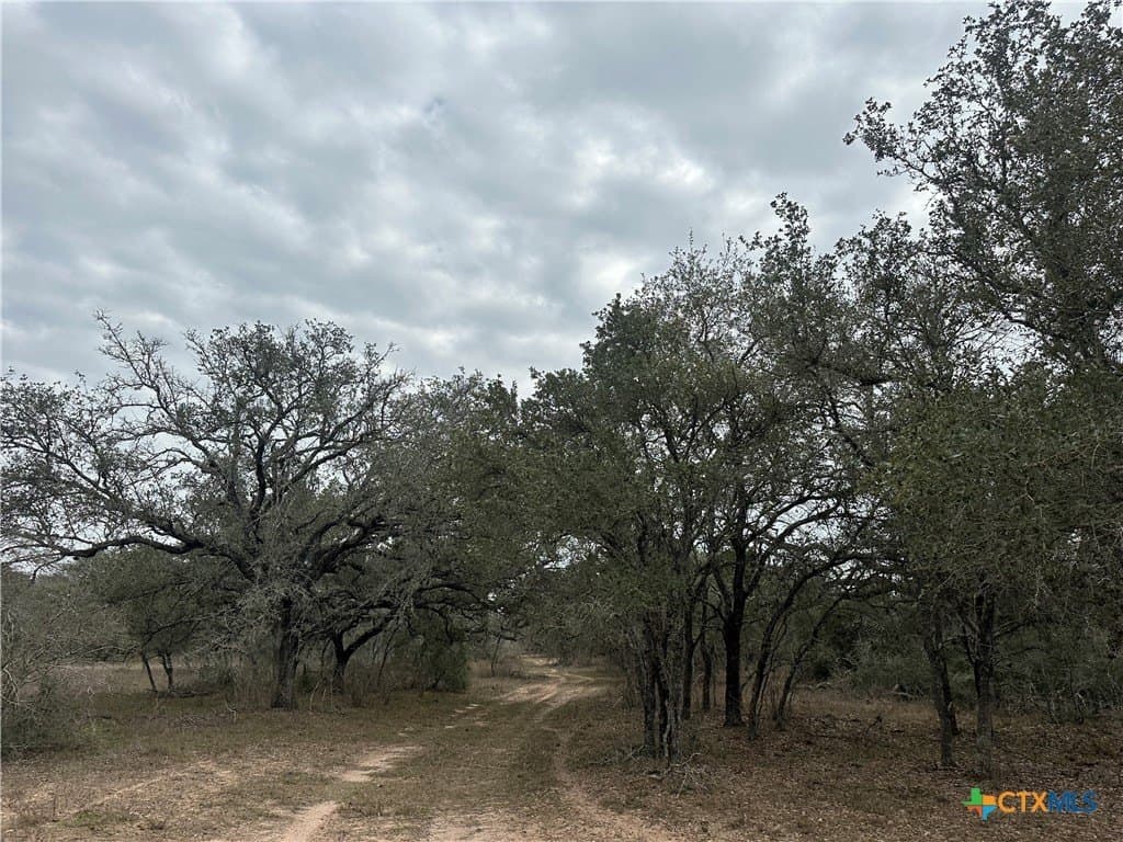 24.26 acres in Victoria County - photo 3