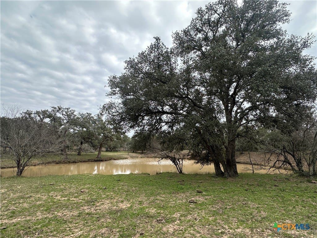 24.26 acres in Victoria County - photo 7