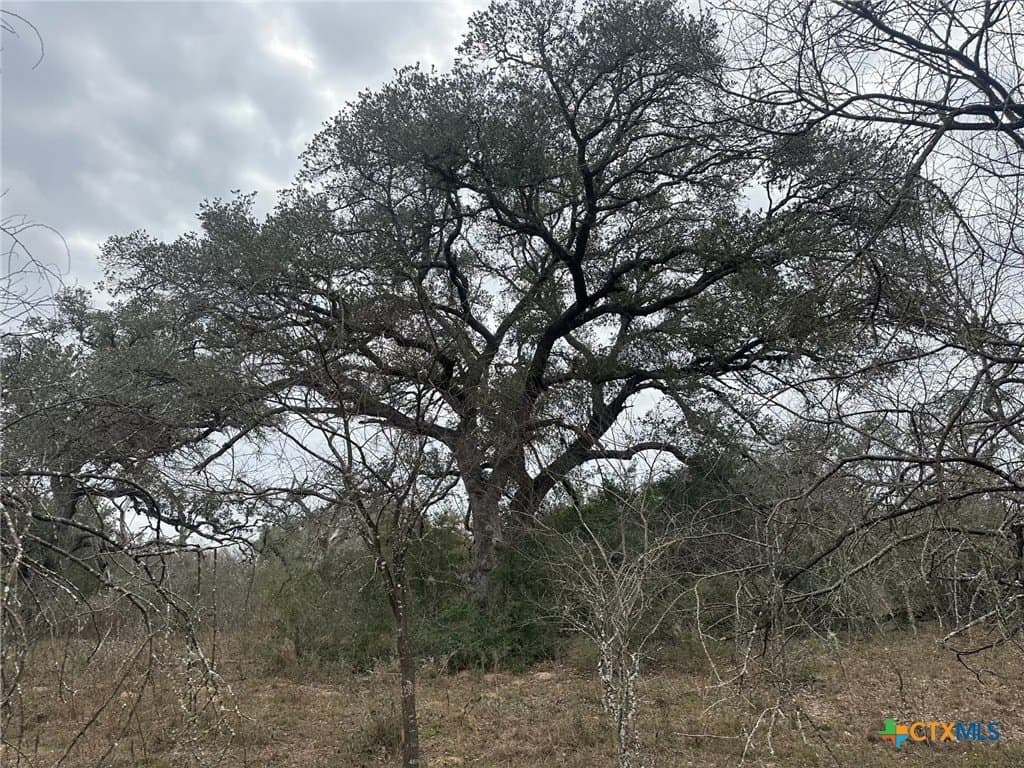 24.26 acres in Victoria County - photo 2