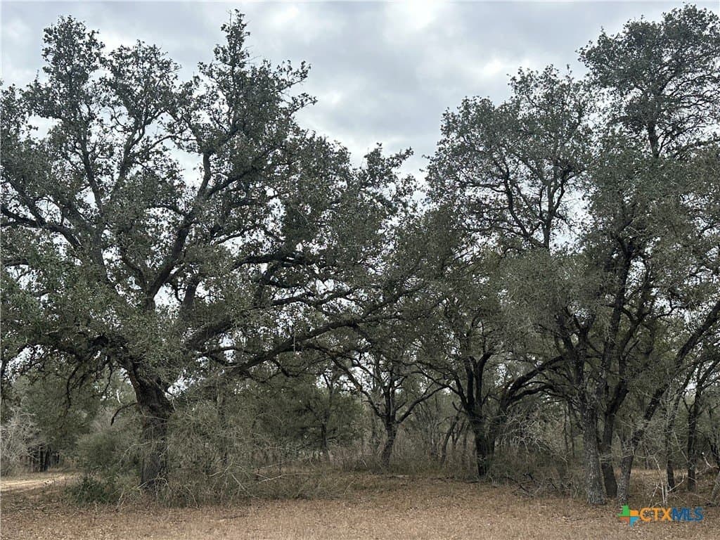 24.26 acres in Victoria County - photo 5