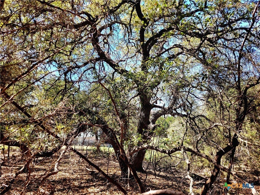 0.95 acres in Comal County - photo 8