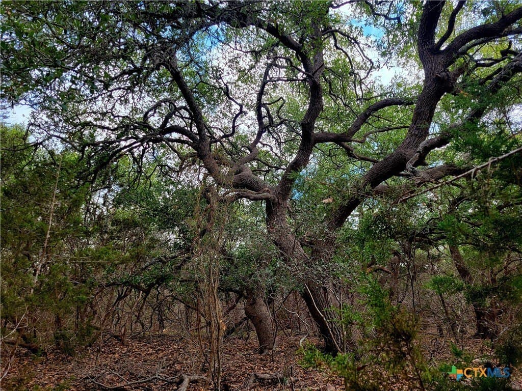 0.95 acres in Comal County - photo 3
