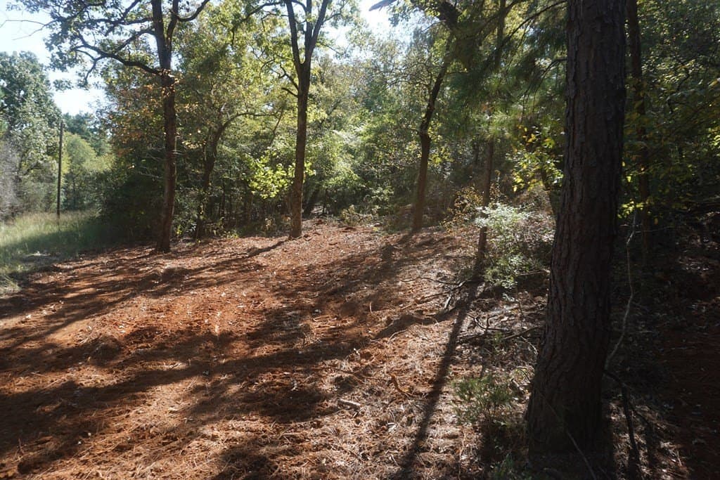13.94 acres in ANDERSON County - photo 2