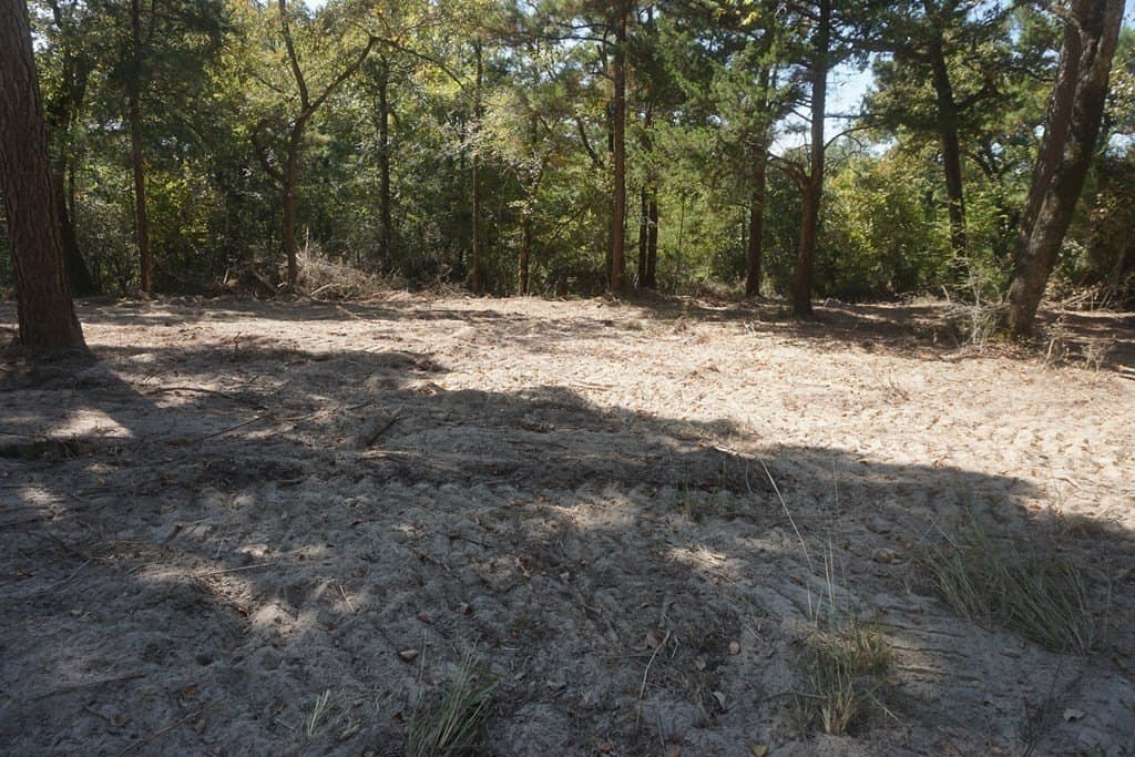 13.94 acres in ANDERSON County - photo 5