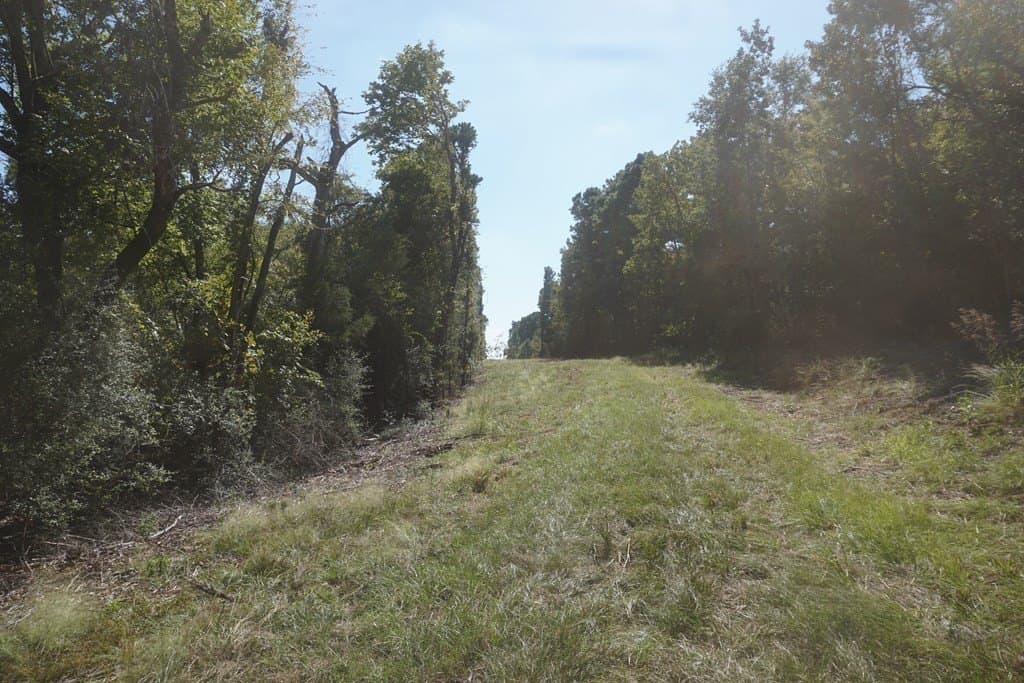 13.94 acres in ANDERSON County - photo 3