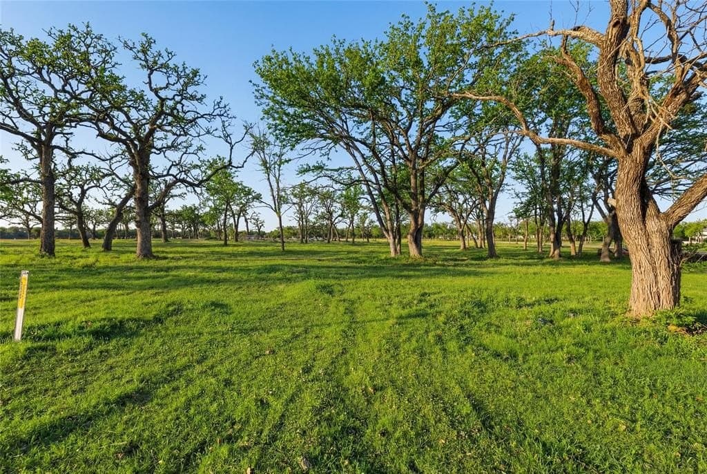 1.01 acres in Denton County - photo 4