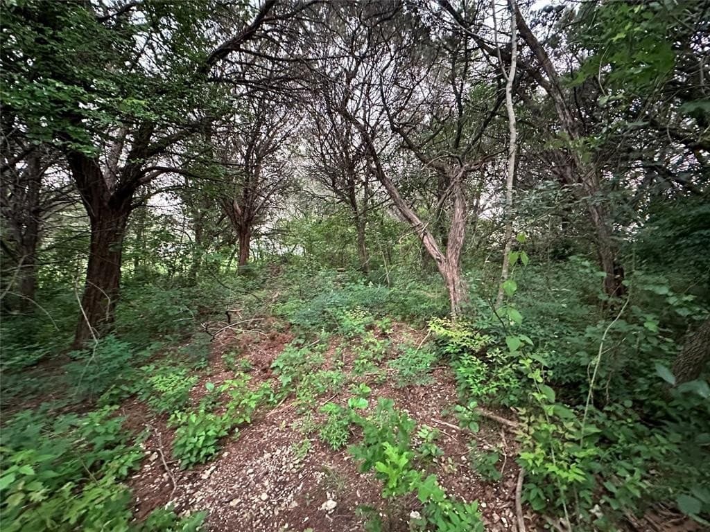 0.4 acres in Hill County - photo 7