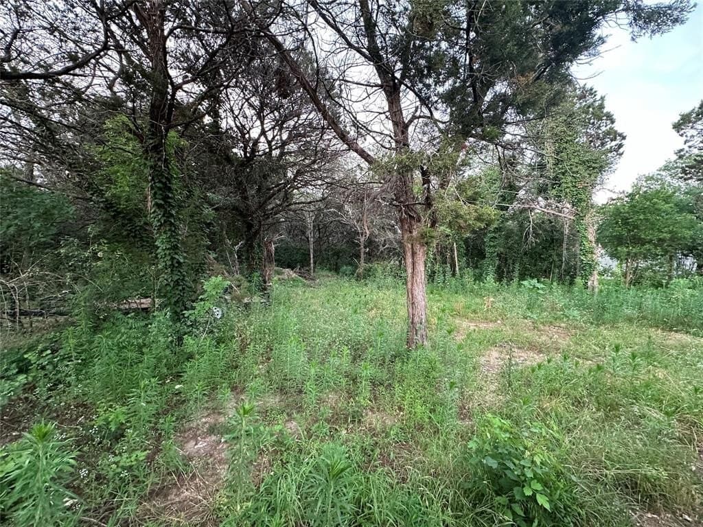 0.4 acres in Hill County - photo 3