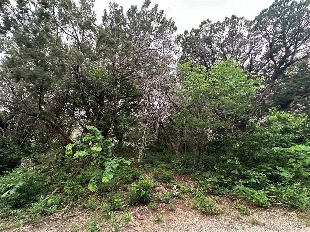 0.4 acres in Hill County - photo 10