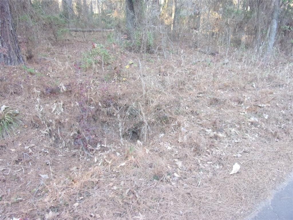 0.22 acres in Smith County - photo 3