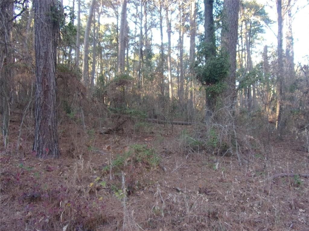 0.22 acres in Smith County - photo 4