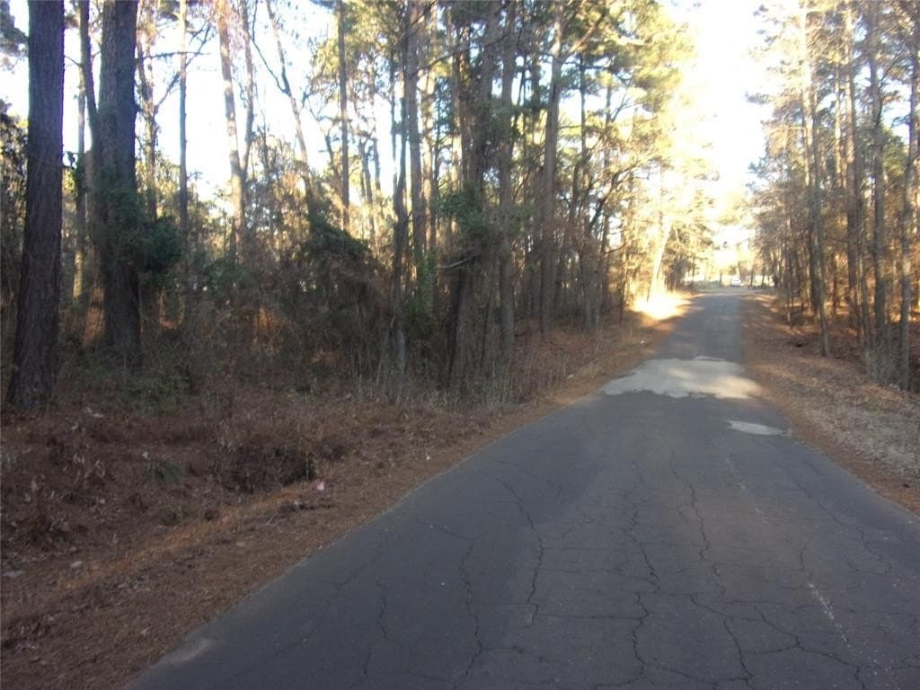 0.22 acres in Smith County - photo 5
