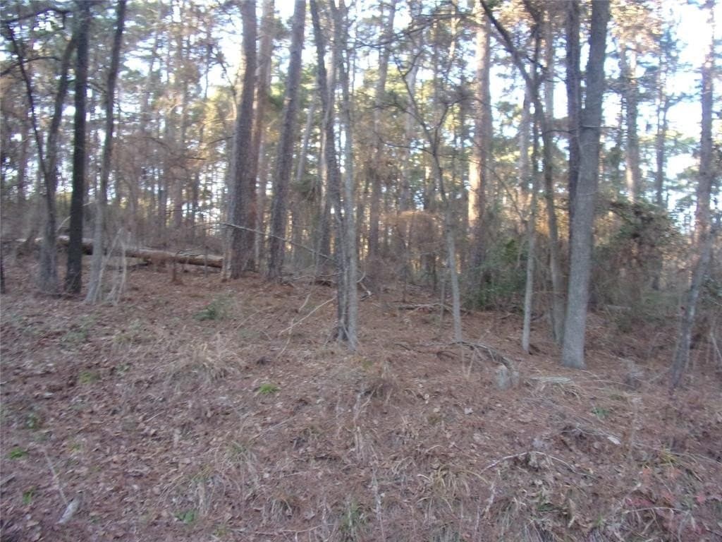 0.22 acres in Smith County - photo 2