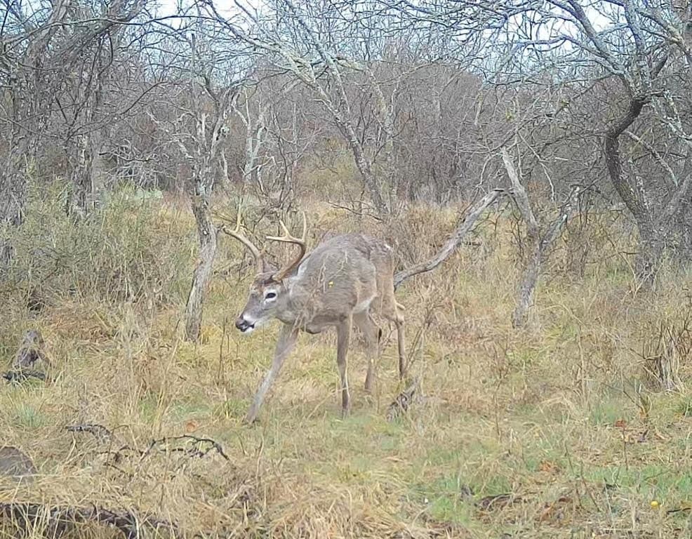 153.74 acres in Brown County - photo 36
