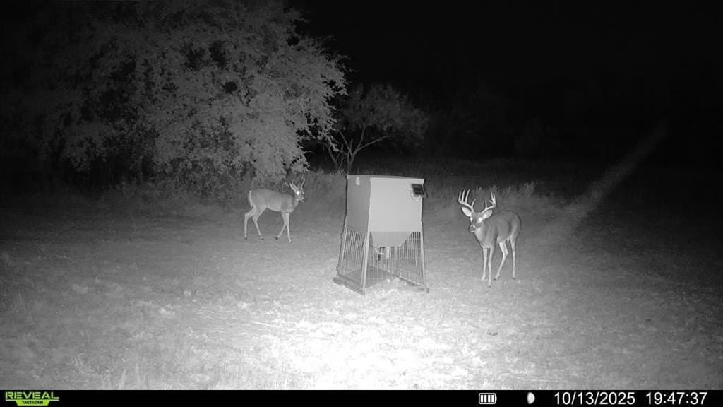 153.74 acres in Brown County - photo 35