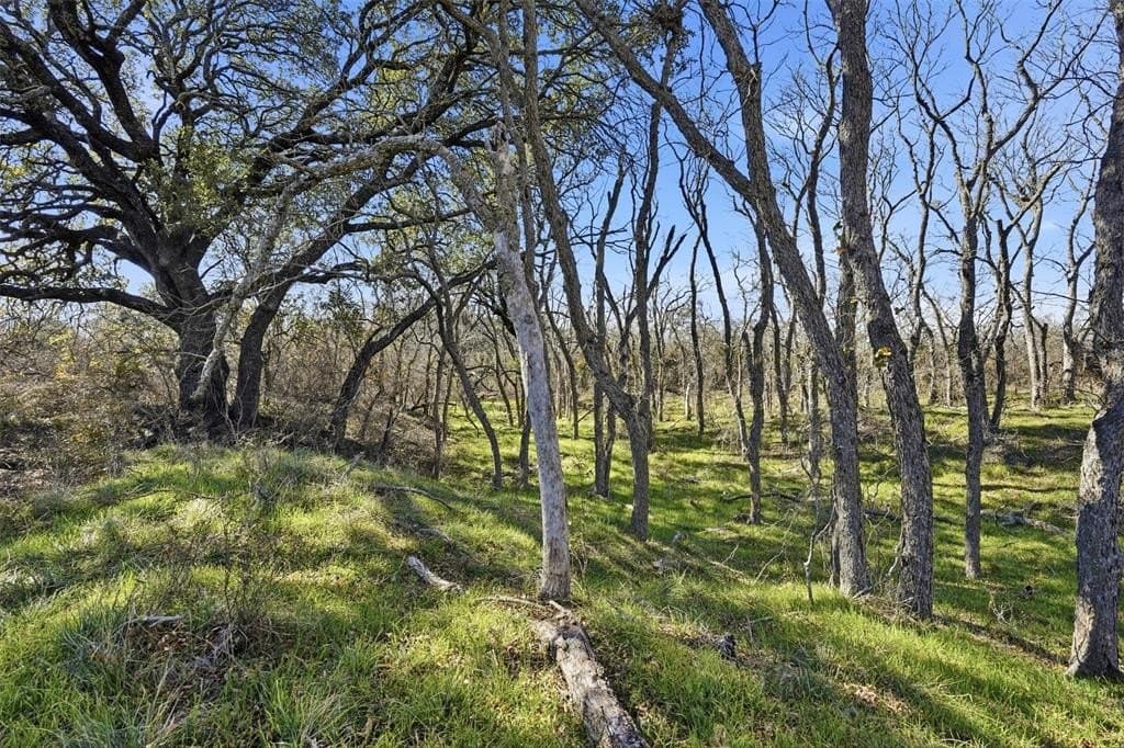 153.74 acres in Brown County - photo 21