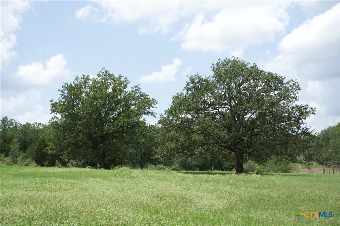 24.52 acres in Bastrop County - photo 4