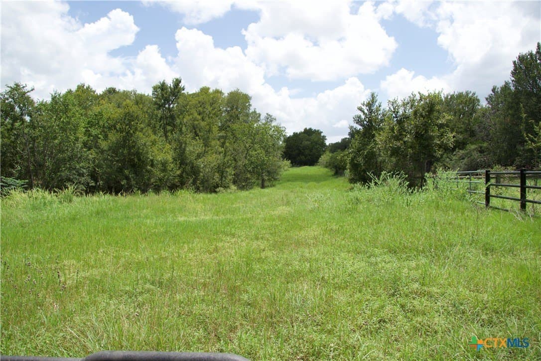 24.52 acres in Bastrop County - photo 9