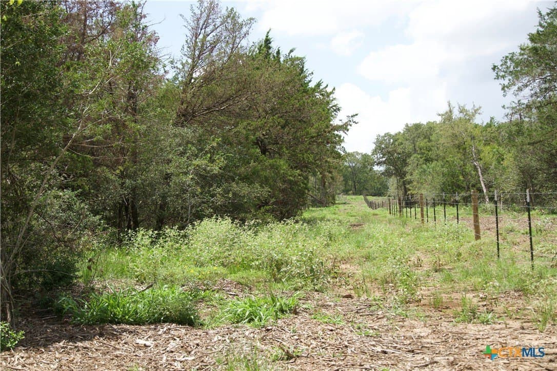 24.52 acres in Bastrop County - photo 5