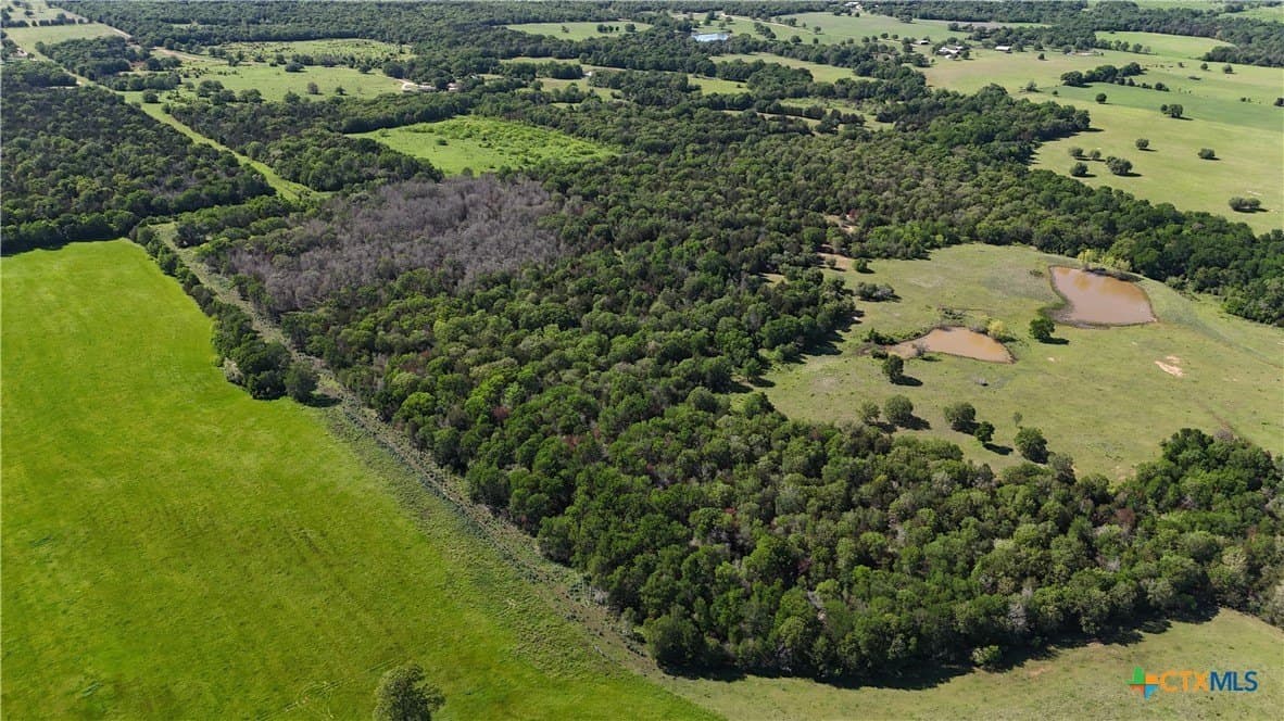 24.52 acres in Bastrop County - photo 2
